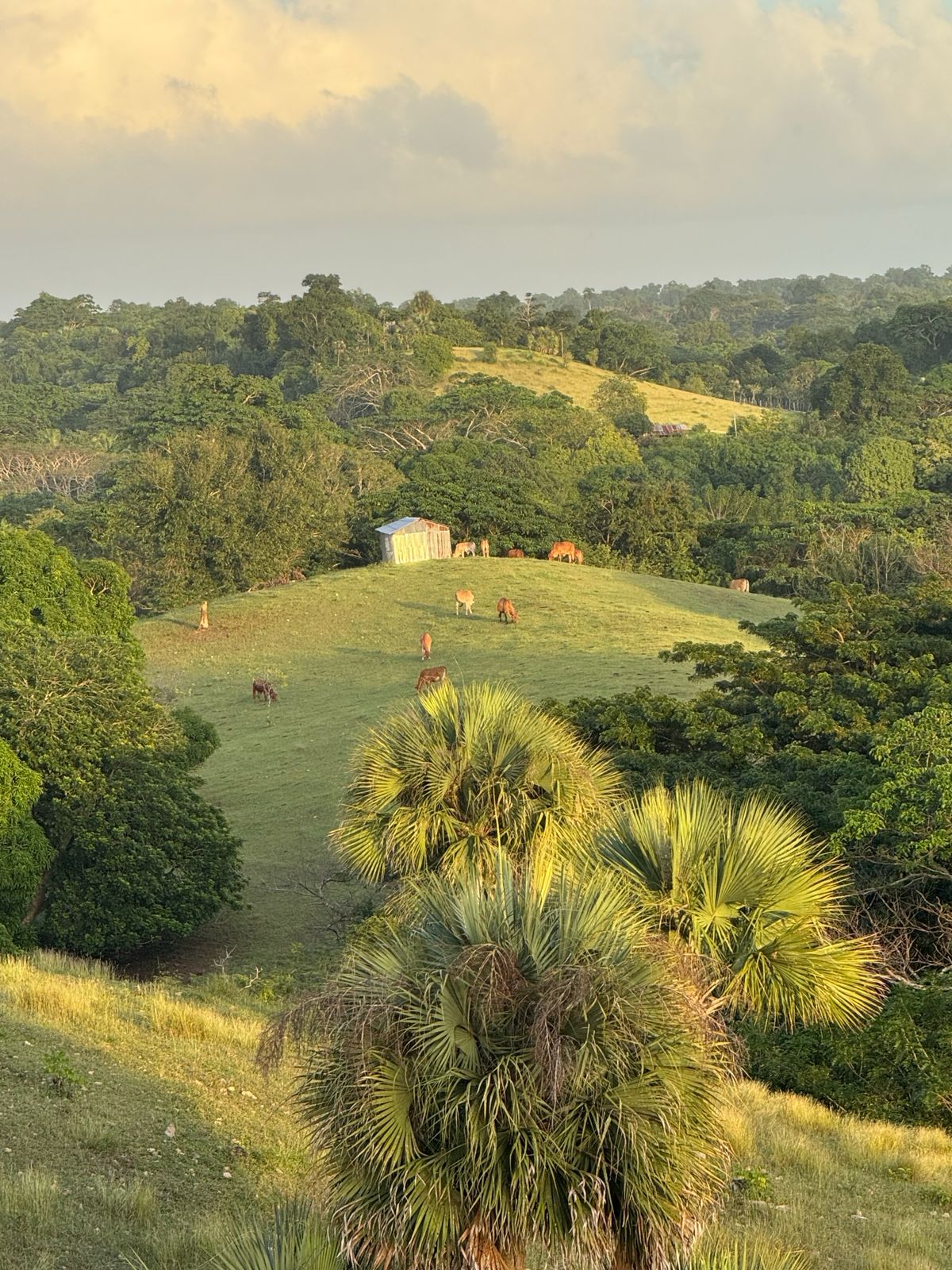 Vista de la finca en La Romana